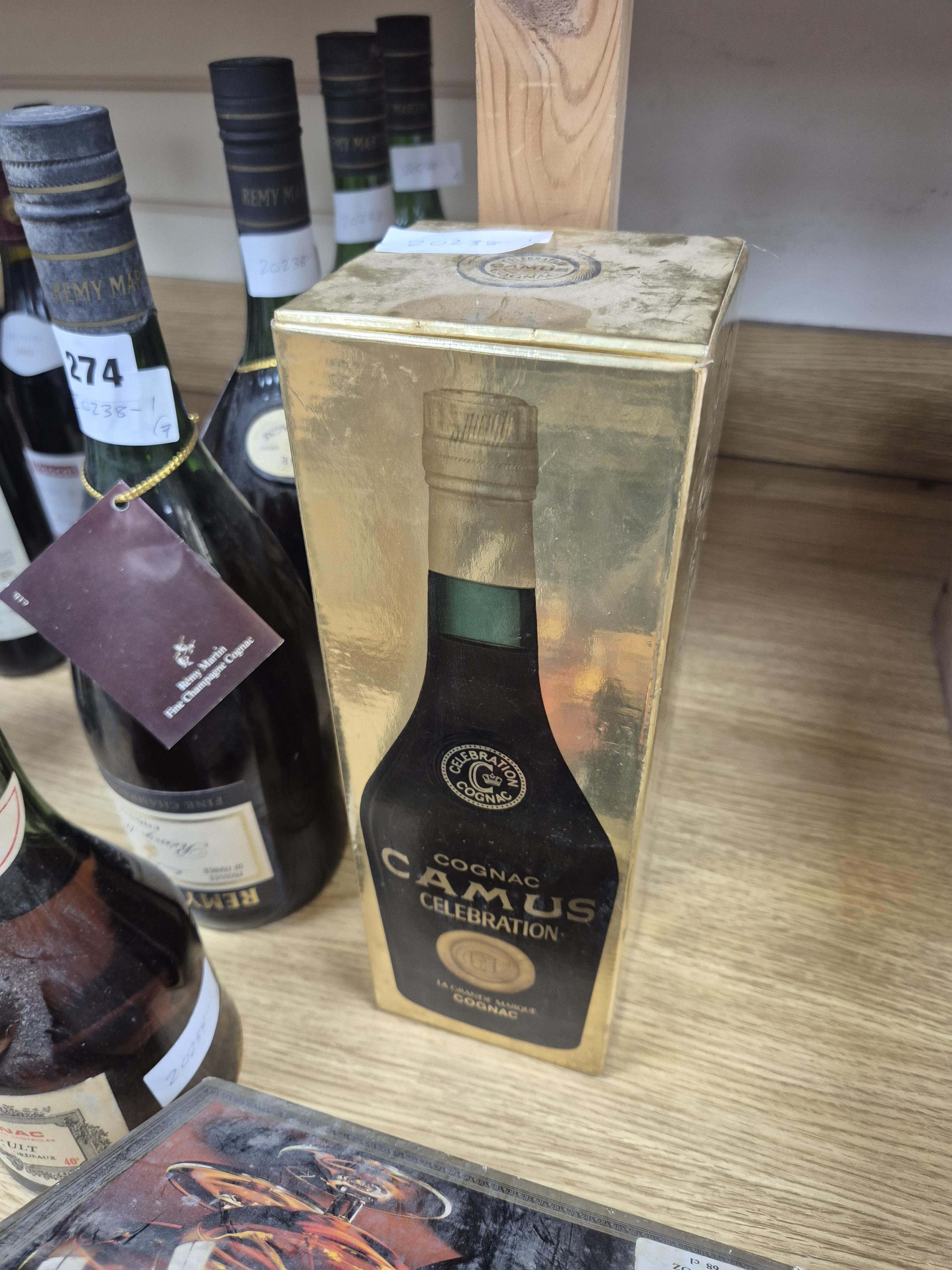 Four bottles of Remy Martin Fine VS Champagne Cognac, 48 fl.oz, 70% proof (for optics, as labels upside down), one bottle of Armagnac Brossault Extra, one boxed bottle of Camus Cognac Celebration and one boxed bottle of